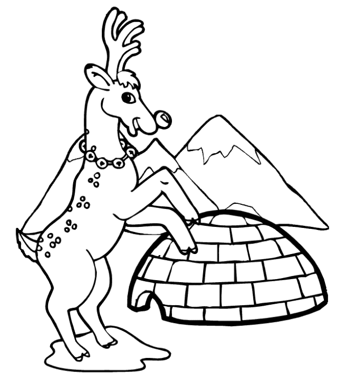 Reindeer Coloring Pages Photos