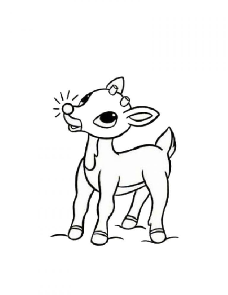 Reindeer Coloring Pages Printable Coloring Page
