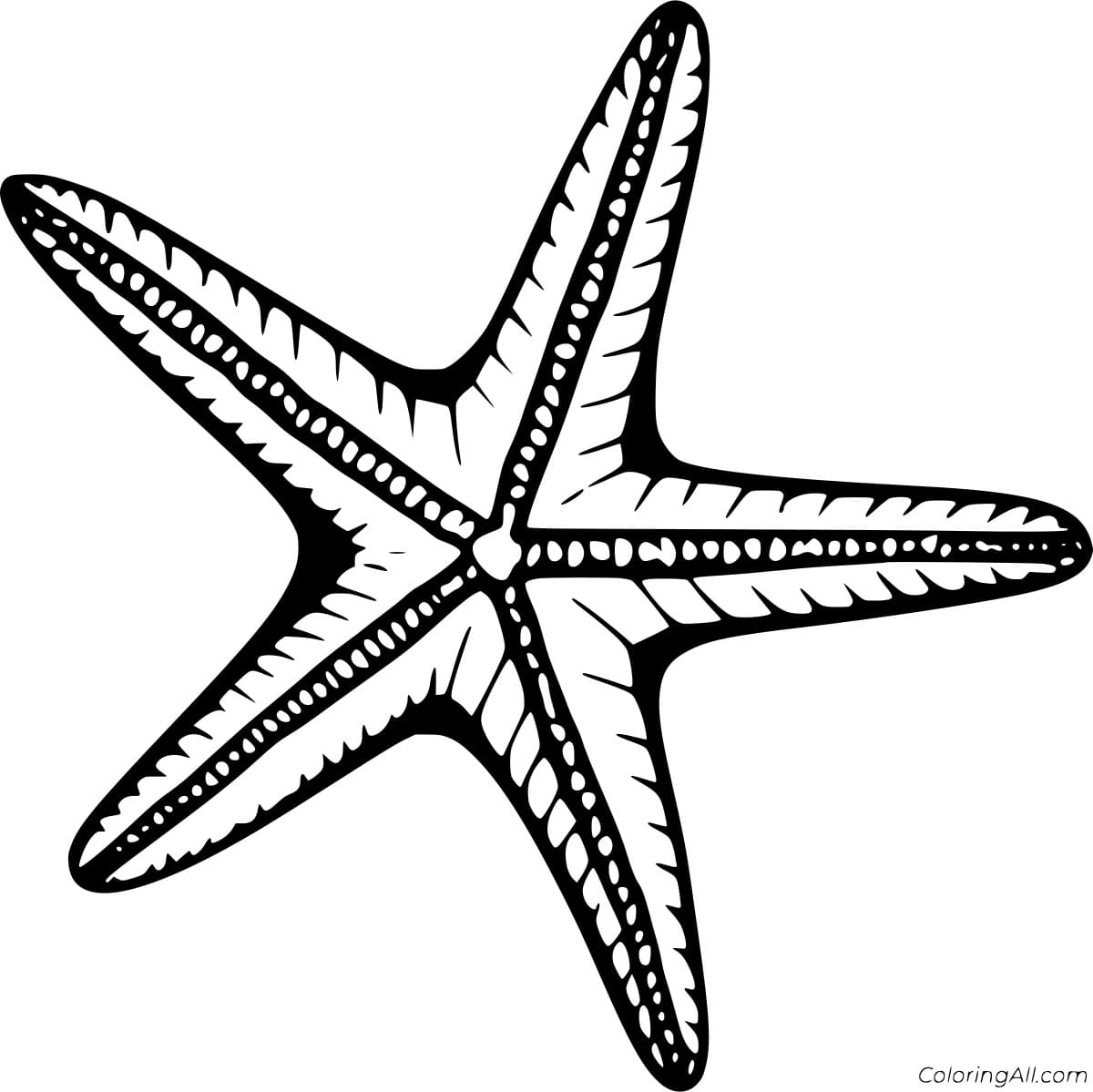 Royal Starfish Image Coloring Page