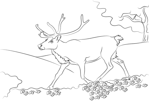Running Reindeer Image Coloring Page