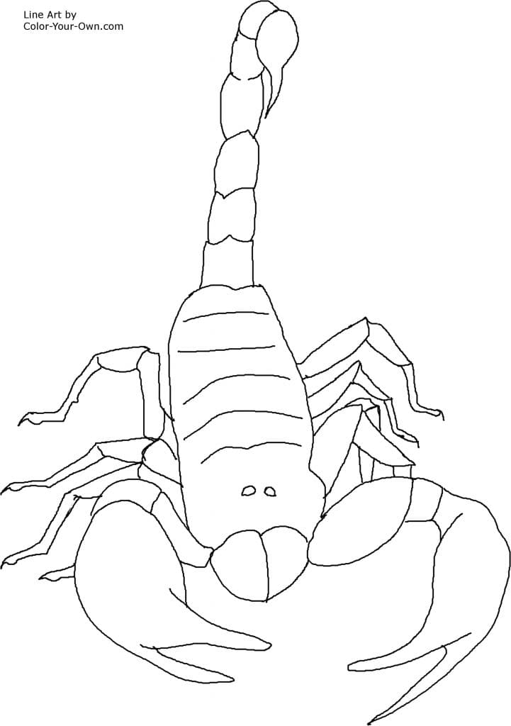 Scorpion Coloring Images
