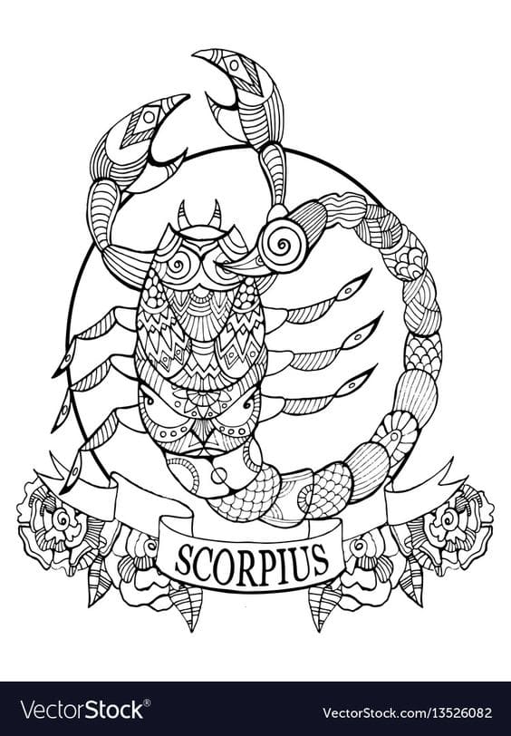 Scorpion Dangerous Image Awesome