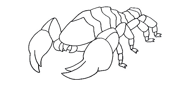 Scorpion-Drawing-6