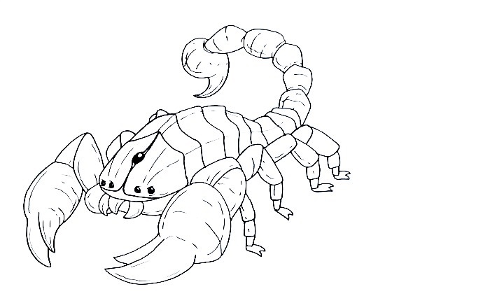 Scorpion-Drawing-7