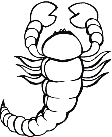 Scorpion Picture Cute For Kids Coloring Page