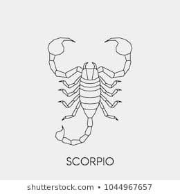Scorpion Picture To Print