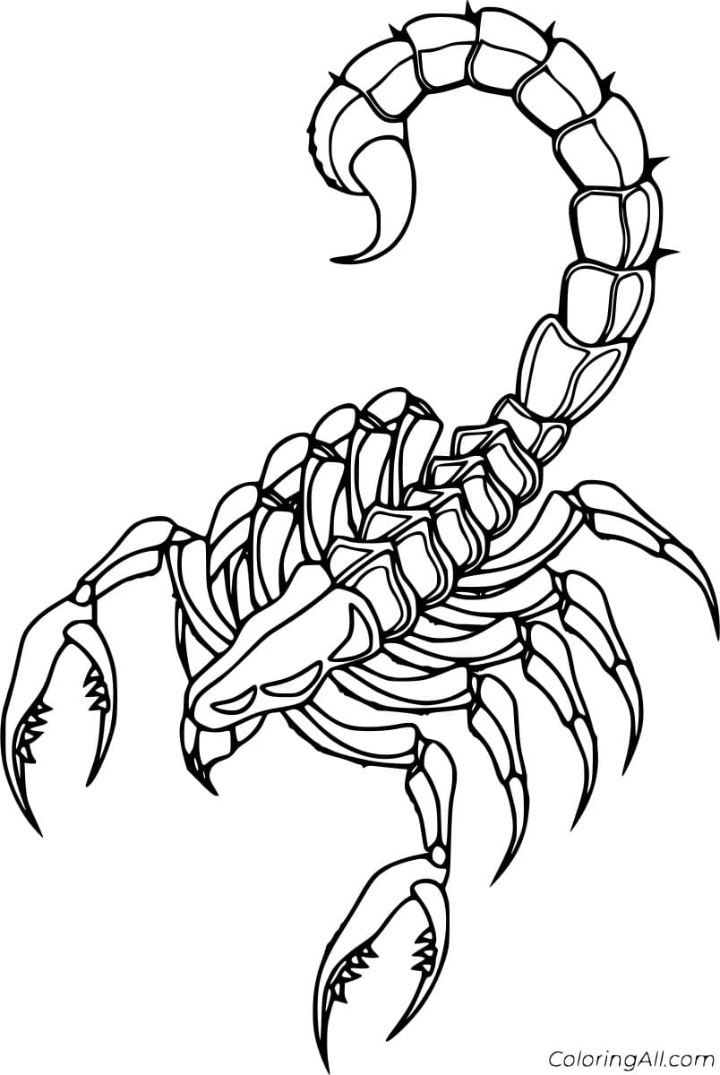 Scorpion Skeleton Image