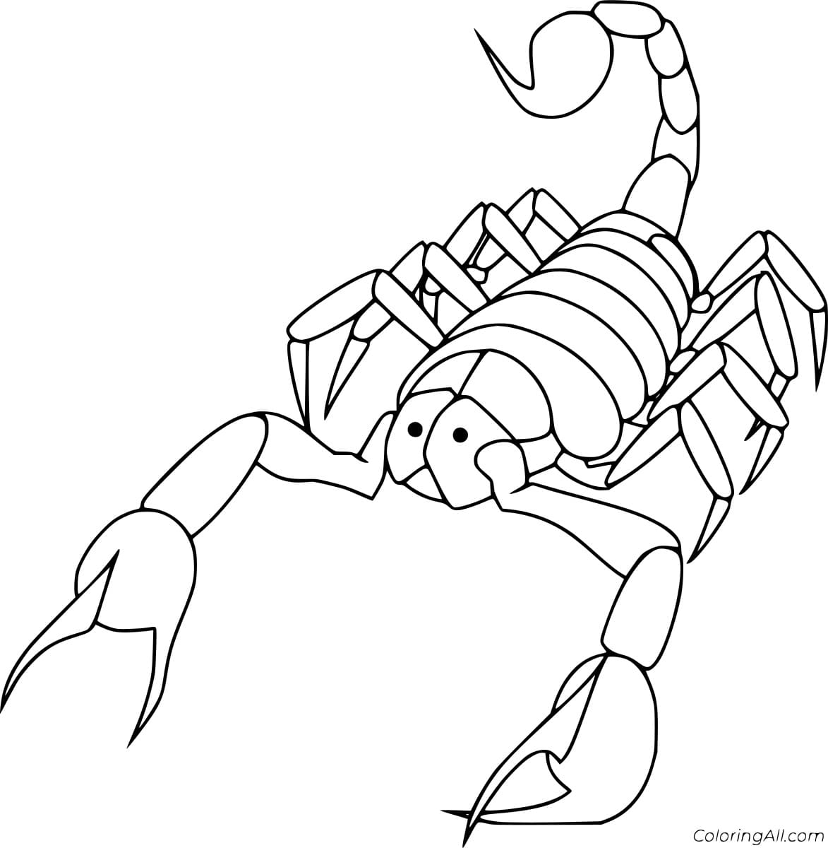 Scorpion Walking Image