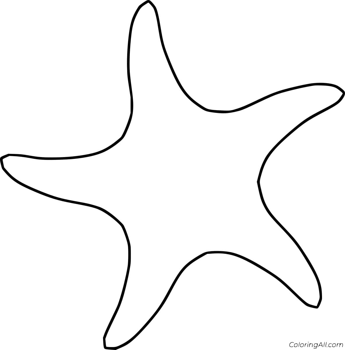 Sea Star Outline Image