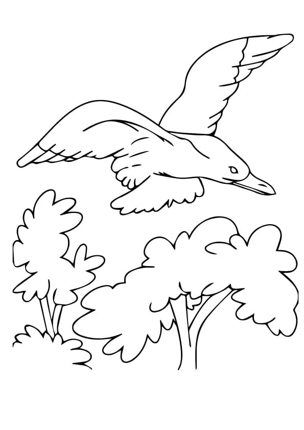 Seagull Coloring Sheet