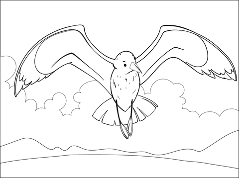 Seagull Cute Coloring Page
