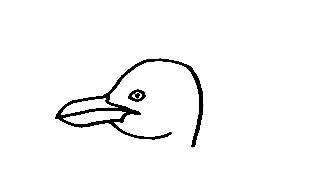 Seagull-Drawing-1