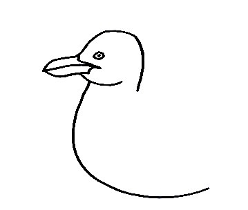 Seagull-Drawing-2