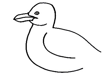 Seagull-Drawing-3