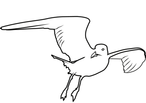 Seagull In The Sky Coloring Page