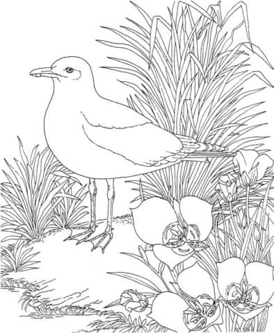 Seagull In the Garden Image Coloring Page