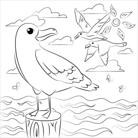 Seagull Lovely