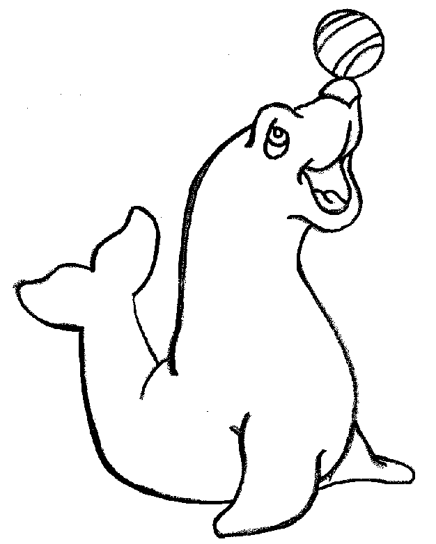 Seal Coloring Book Coloring Page