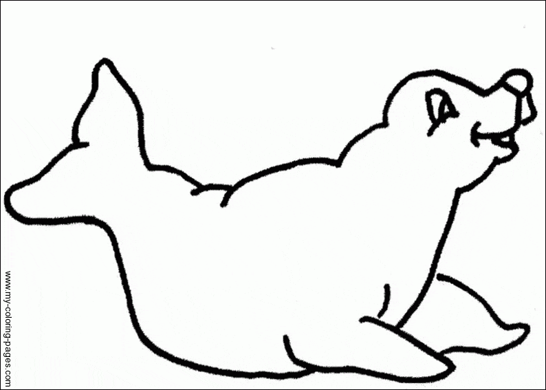 Seal Coloring Pages Image Coloring Page