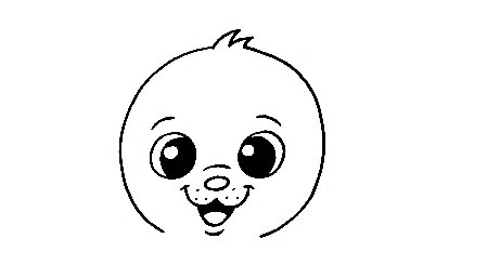 Seal-Drawing-2