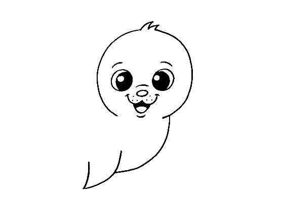 Seal-Drawing-3