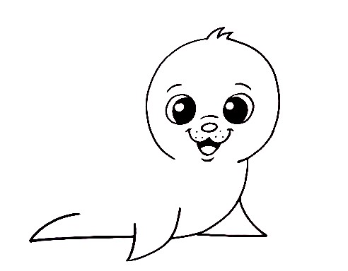 Seal-Drawing-4