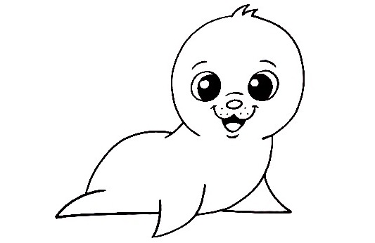 Seal-Drawing-5