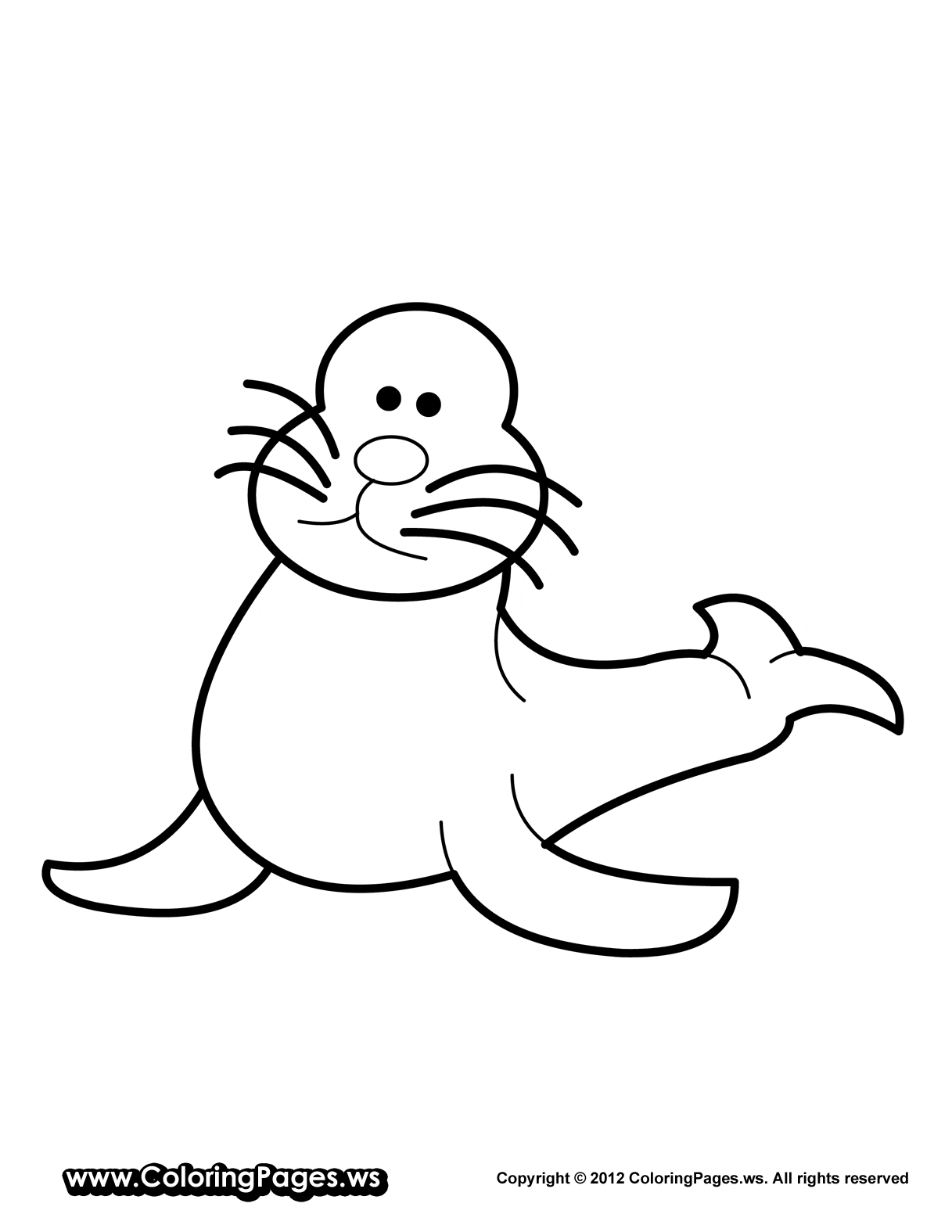 Seal Image For Children Coloring Page