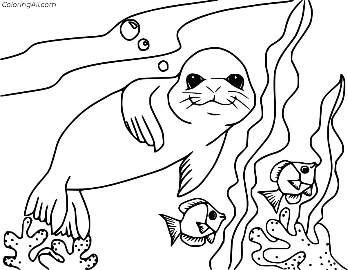 Seal And Corals Coloring Page
