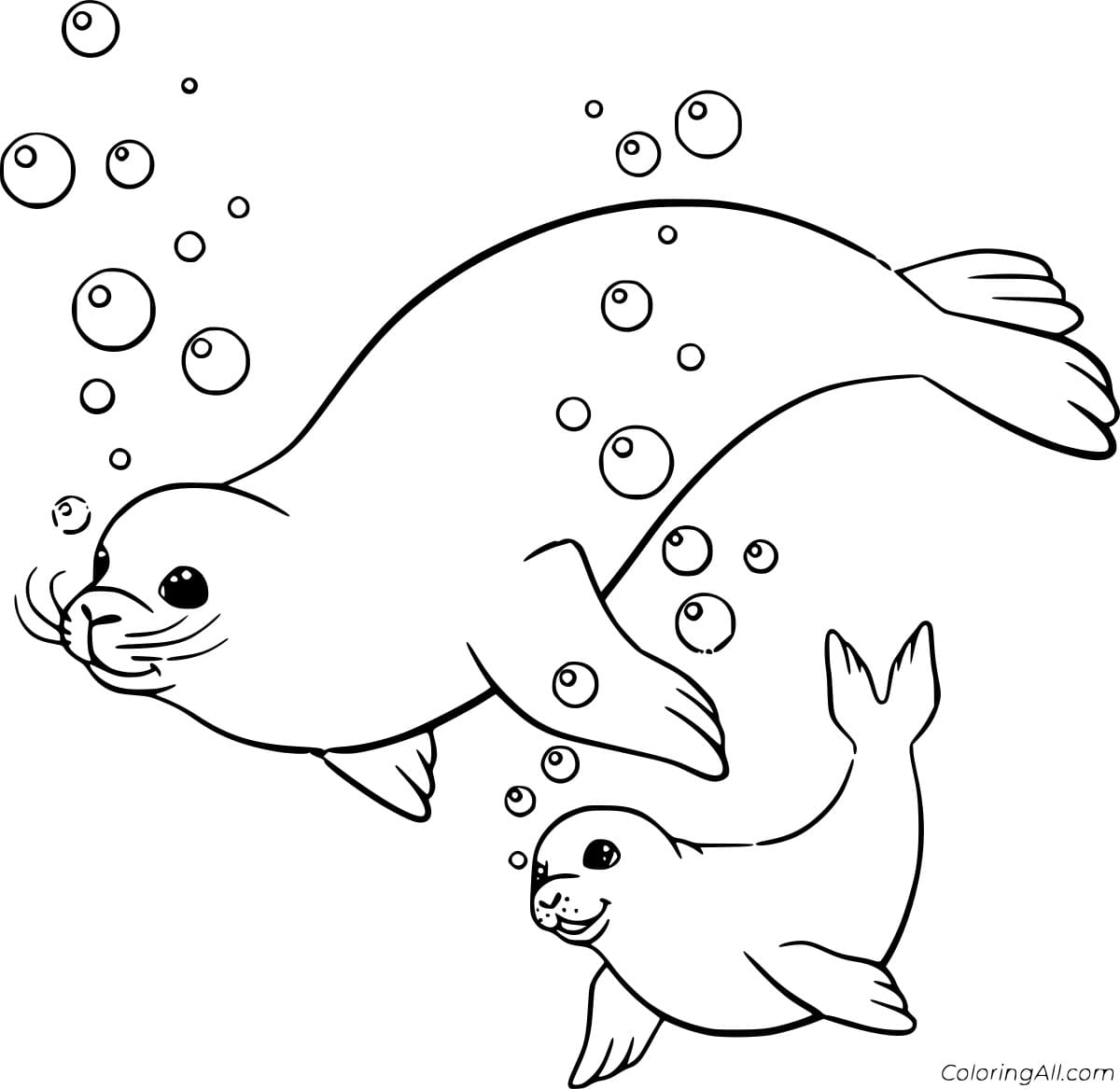 Seal And Its Baby Coloring Page