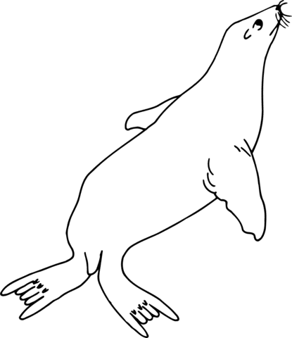 Seal Image Coloring Page