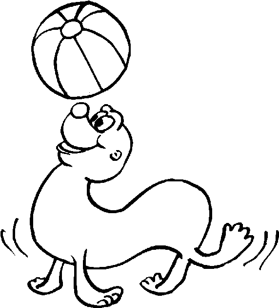 Seal With Ball Image Coloring Page