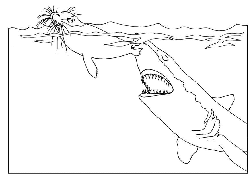 Shark Attack Image Coloring Page