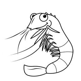 Shrimp Cartoon Drawing