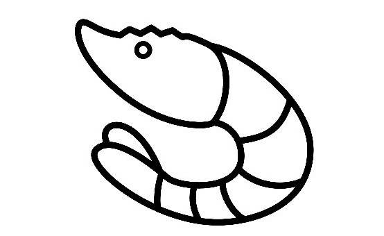 Shrimp-Drawing-5