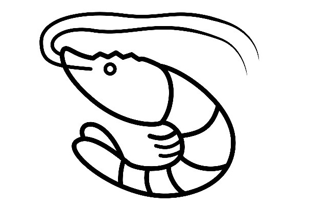Shrimp-Drawing-7
