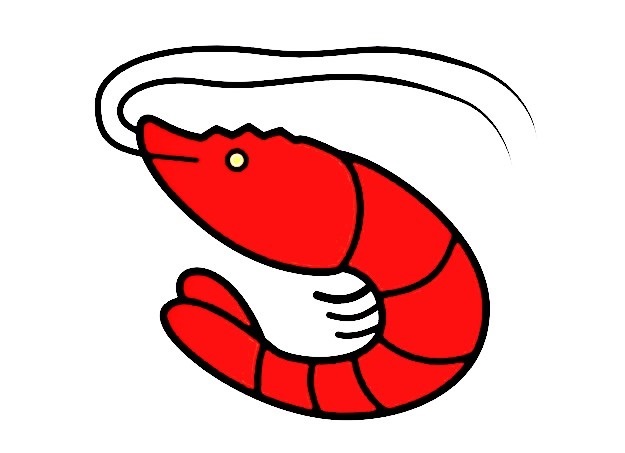 Shrimp-Drawing-8