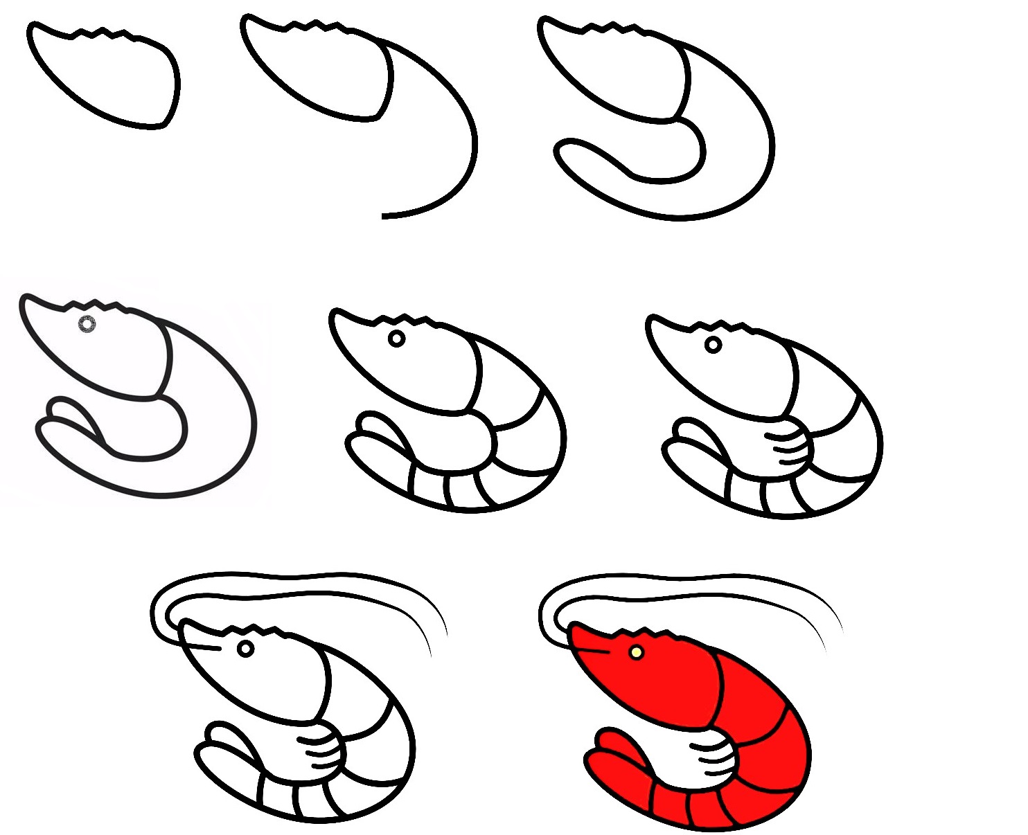Shrimp-Drawing