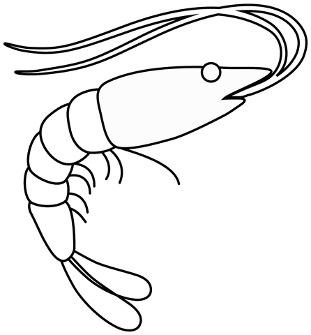 Shrimp Emoji Image For Kids