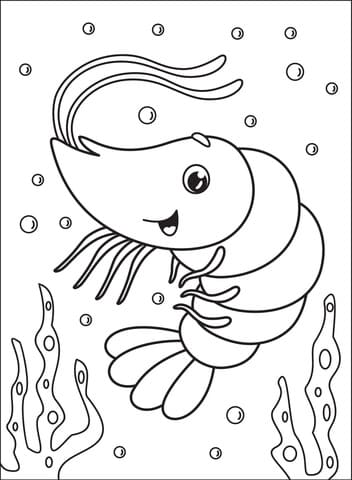 Shrimp Image Kids Coloring Page