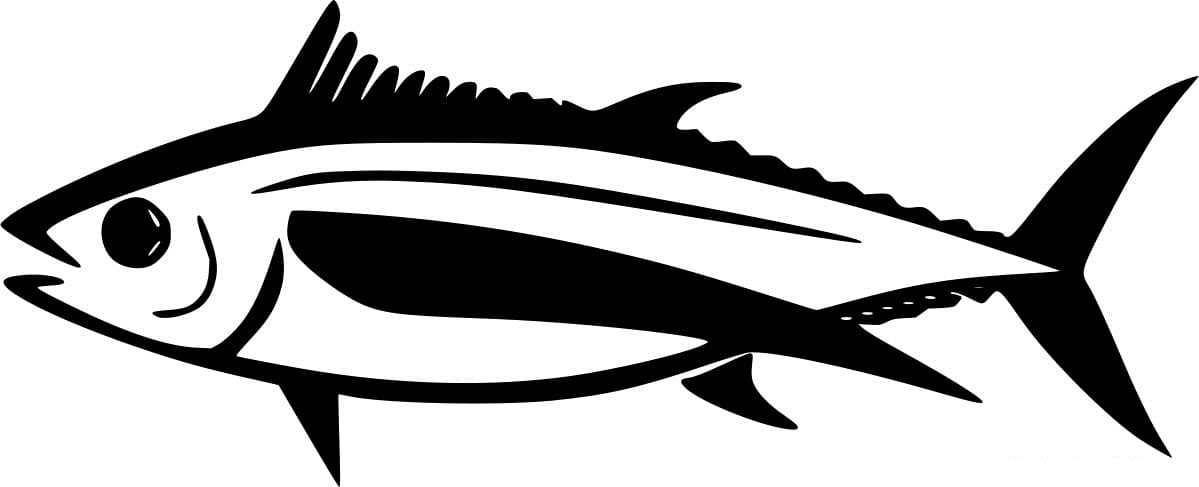 Simple Albacore Tuna