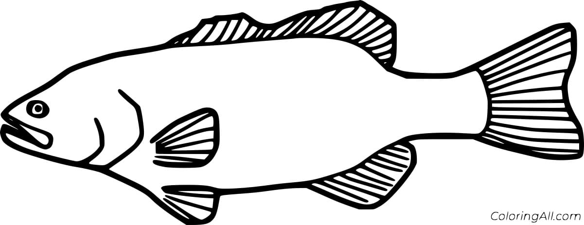 Simple Bass Image Coloring Page