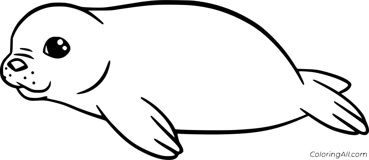 Simple Cartoon Seal Image Coloring Page