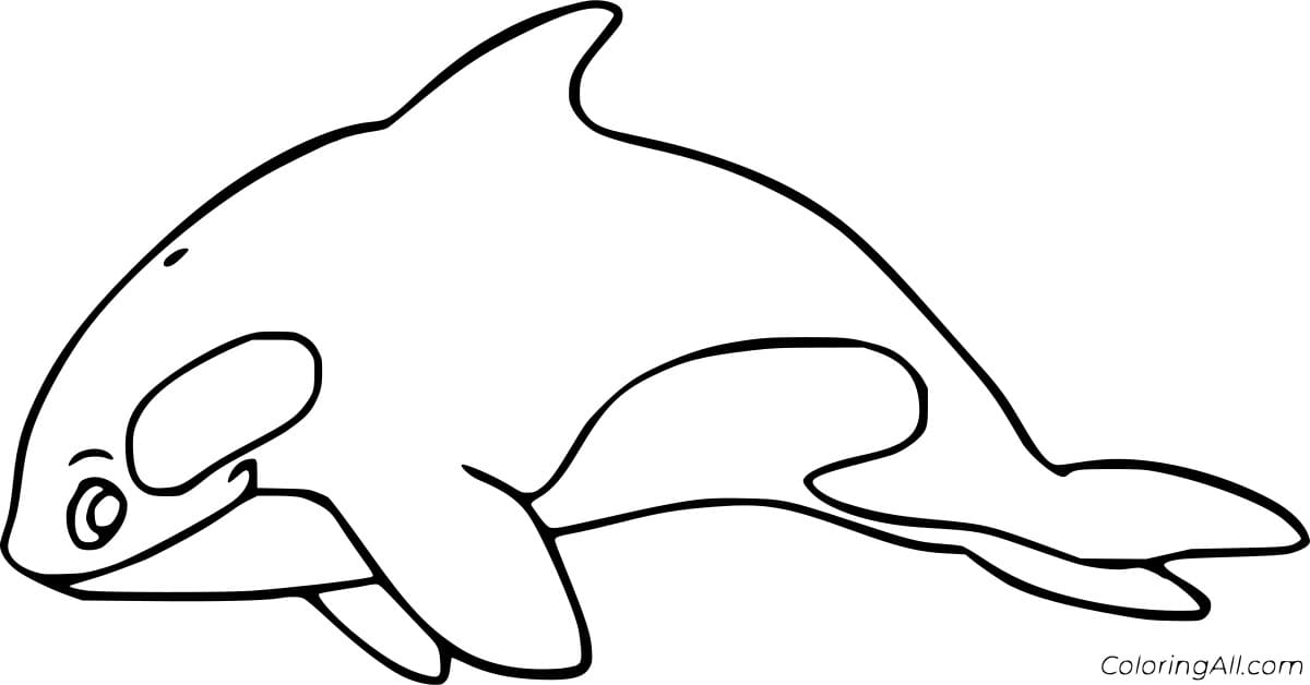 Simple Cute Whale