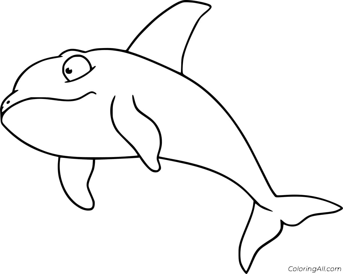 Simple Funny Killer Whale Coloring Page Image