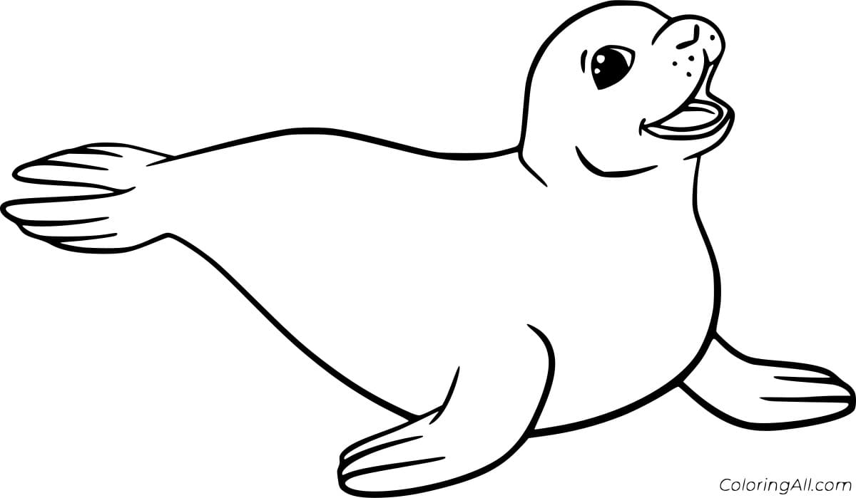 Simple Happy Seal Image Coloring Page