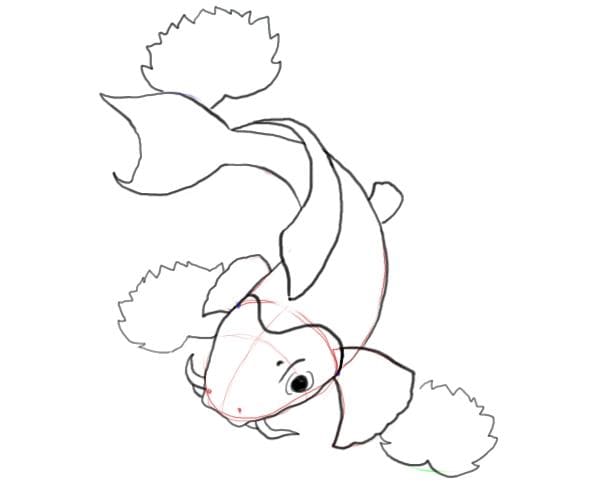 Simple Koi Fish Coloring Page