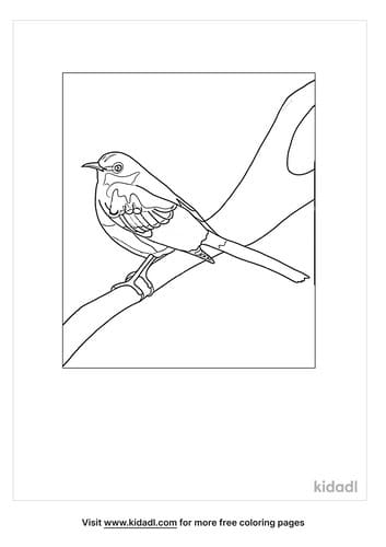 Simple Mockingbird Cute Image Coloring Page
