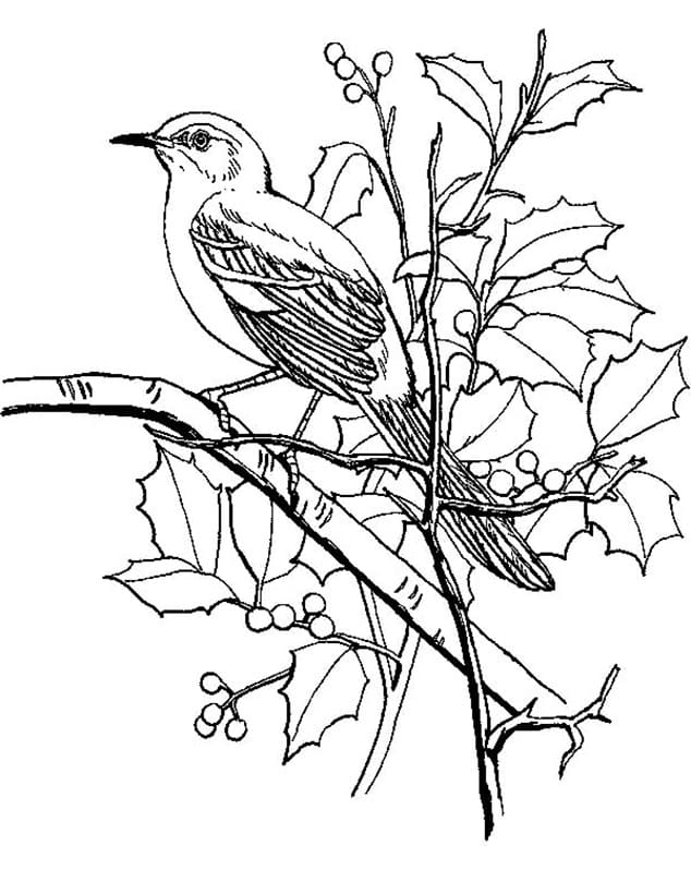 Simple Mockingbird Picture