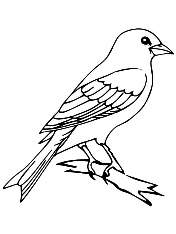 Simple Mockingbird